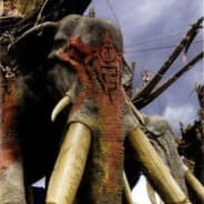 apathischer_elefant
