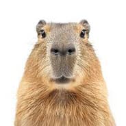 CaPyBaRa