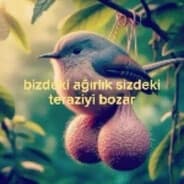 TAŞŞAKÜL VAHŞET