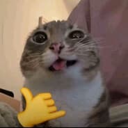do0ver