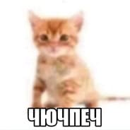 фанат блохи