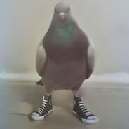 pigeon skins.army